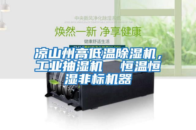 涼山州高低溫除濕機，工業(yè)抽濕機  恒溫恒濕非標機器