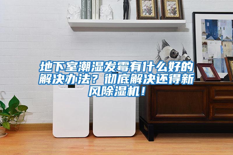 地下室潮濕發霉有什么好的解決辦法？徹底解決還得新風除濕機！