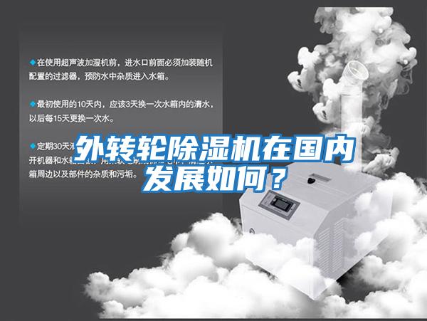 外轉輪除濕機在國內發展如何？