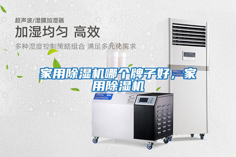 家用除濕機哪個牌子好，家用除濕機