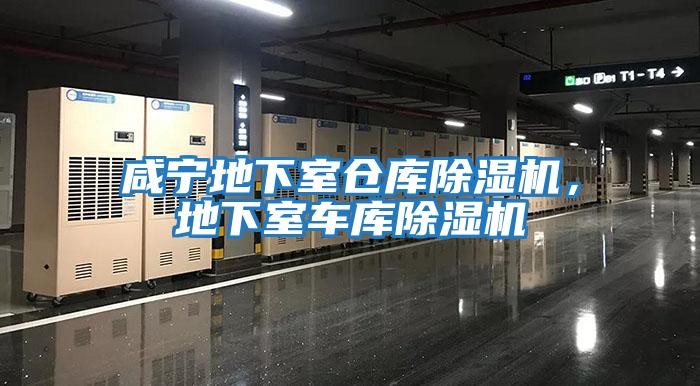 咸寧地下室倉庫除濕機，地下室車庫除濕機