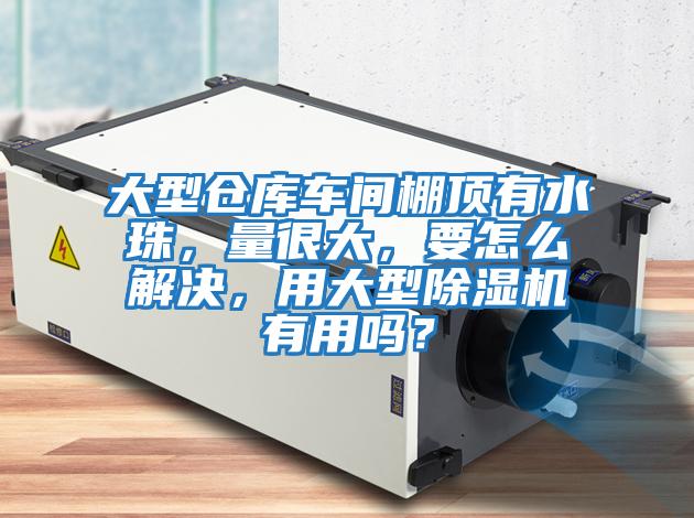 大型倉(cāng)庫(kù)車間棚頂有水珠，量很大，要怎么解決，用大型除濕機(jī)有用嗎？
