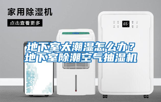 地下室太潮濕怎么辦？地下室除潮空氣抽濕機(jī)