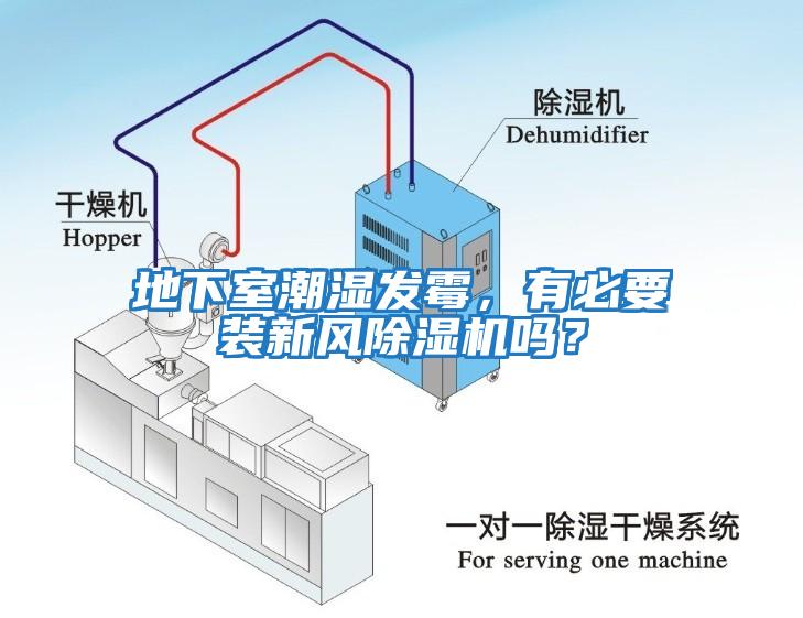 地下室潮濕發霉，有必要裝新風除濕機嗎？