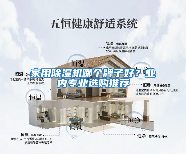 家用除濕機哪個牌子好？業內專業選購推薦