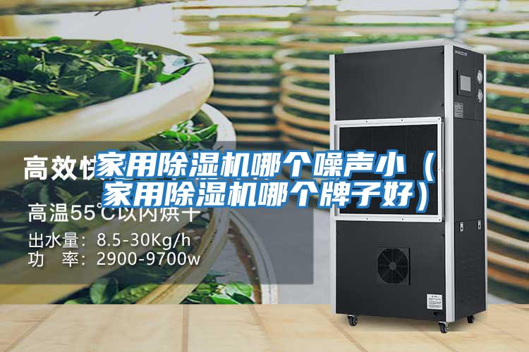 家用除濕機哪個噪聲?。矣贸凉駲C哪個牌子好）