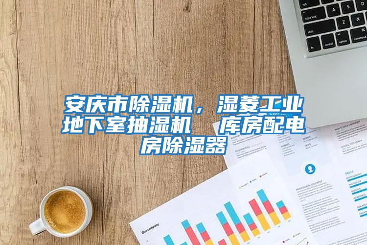安慶市除濕機(jī)，濕菱工業(yè)地下室抽濕機(jī)  庫(kù)房配電房除濕器
