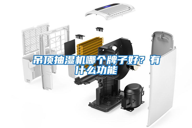 吊頂抽濕機哪個牌子好？有什么功能