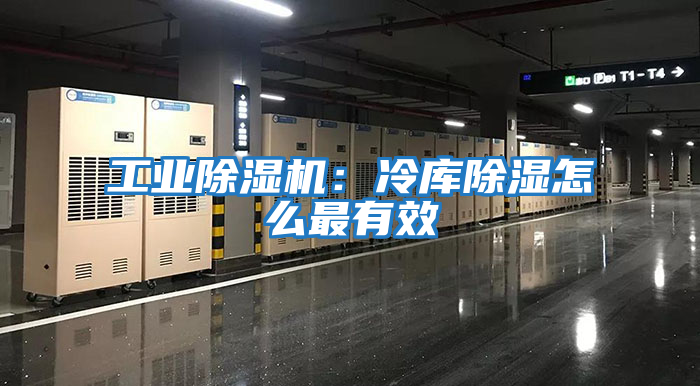 工業(yè)除濕機(jī)：冷庫(kù)除濕怎么最有效