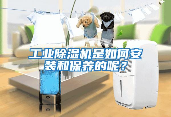 工業除濕機是如何安裝和保養的呢？