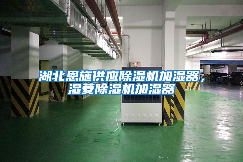湖北恩施供應除濕機加濕器，濕菱除濕機加濕器