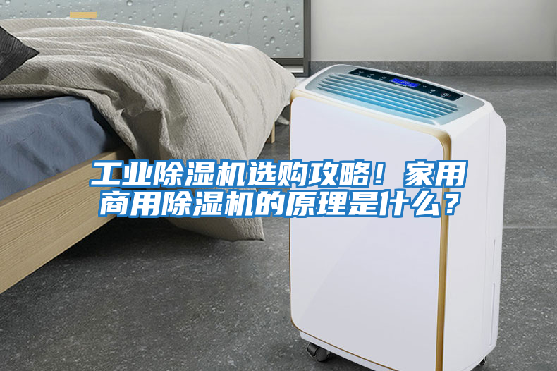 工業除濕機選購攻略！家用商用除濕機的原理是什么？