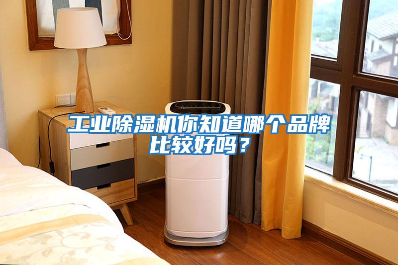 工業除濕機你知道哪個品牌比較好嗎？