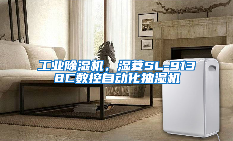 工業(yè)除濕機(jī)，濕菱SL-9138C數(shù)控自動(dòng)化抽濕機(jī)