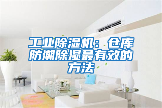 工業(yè)除濕機(jī)：倉(cāng)庫(kù)防潮除濕最有效的方法