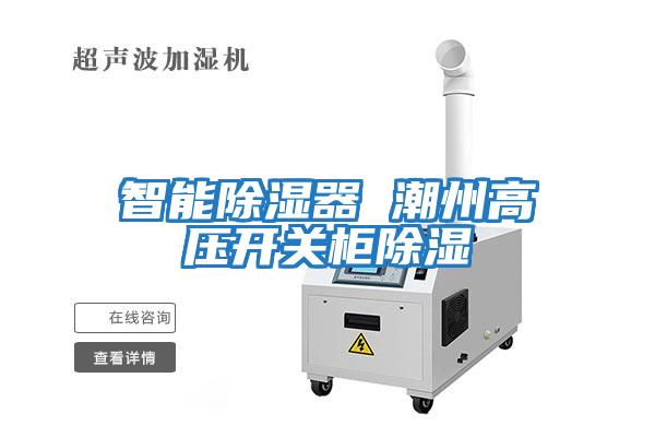 智能除濕器 潮州高壓開(kāi)關(guān)柜除濕