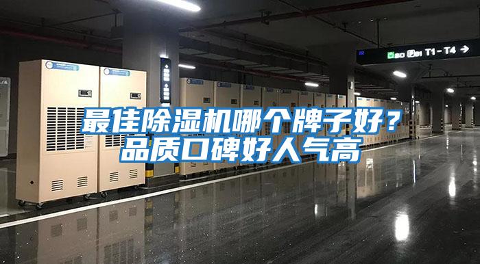 最佳除濕機哪個牌子好？品質(zhì)口碑好人氣高