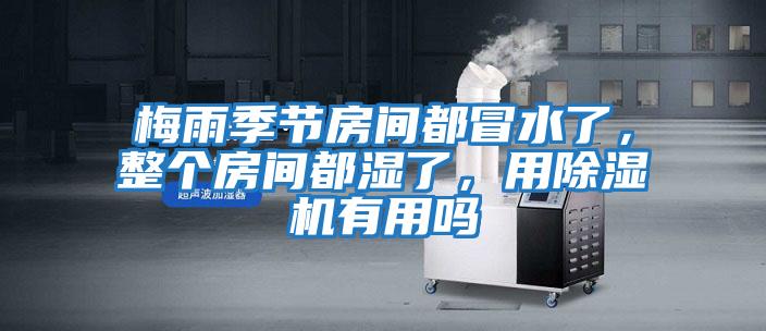 梅雨季節房間都冒水了，整個房間都濕了，用除濕機有用嗎