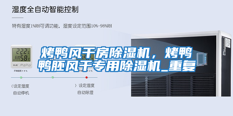 烤鴨風(fēng)干房除濕機(jī)，烤鴨鴨胚風(fēng)干專用除濕機(jī)_重復(fù)