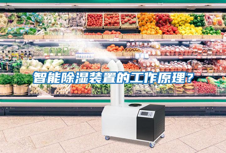 智能除濕裝置的工作原理？