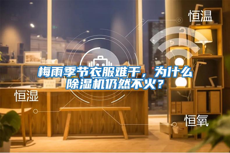 梅雨季節衣服難干，為什么除濕機仍然不火？