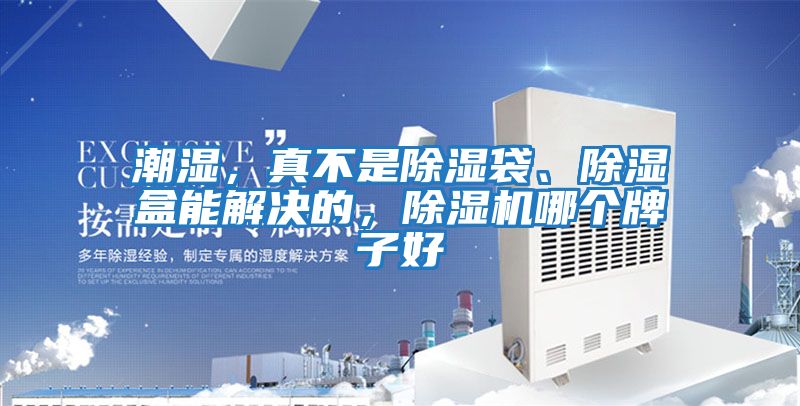 潮濕，真不是除濕袋、除濕盒能解決的，除濕機哪個牌子好