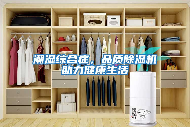 潮濕綜合癥，品質除濕機助力健康生活