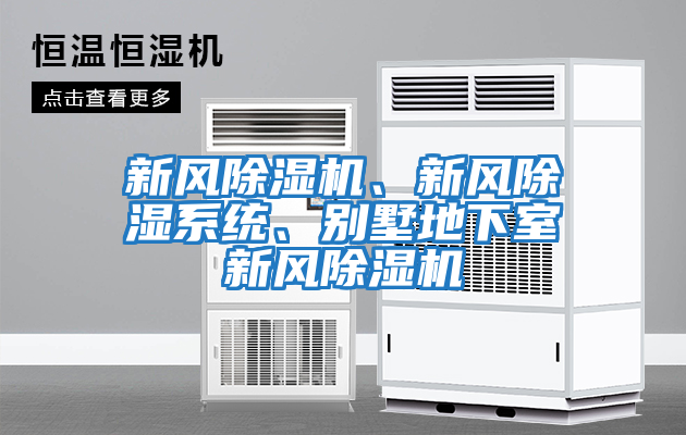 新風除濕機、新風除濕系統、別墅地下室新風除濕機