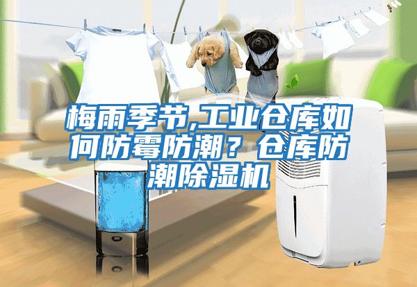 梅雨季節(jié),工業(yè)倉庫如何防霉防潮？倉庫防潮除濕機