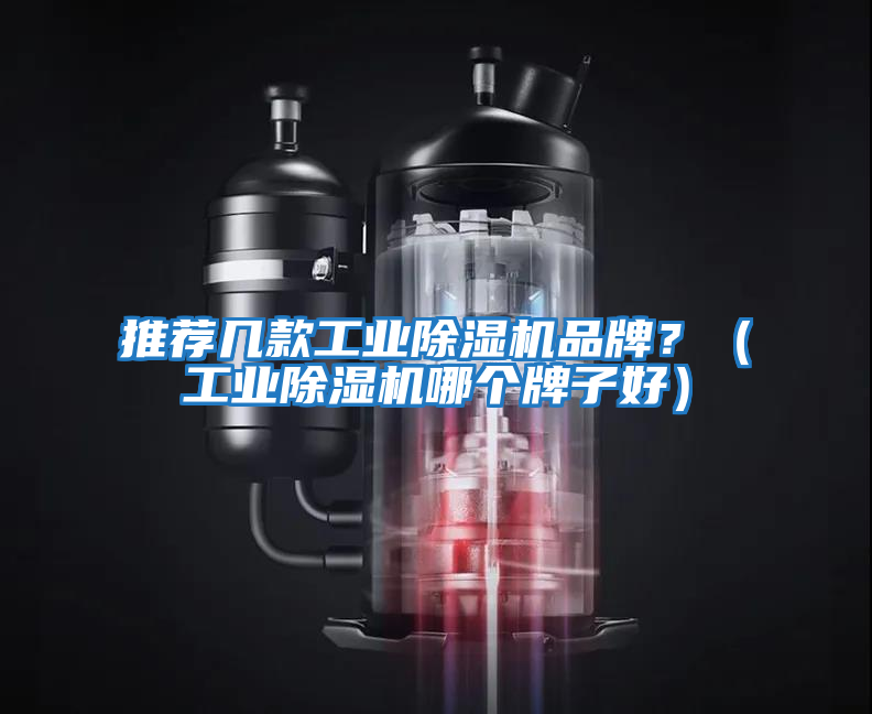 推薦幾款工業(yè)除濕機(jī)品牌？（工業(yè)除濕機(jī)哪個(gè)牌子好）