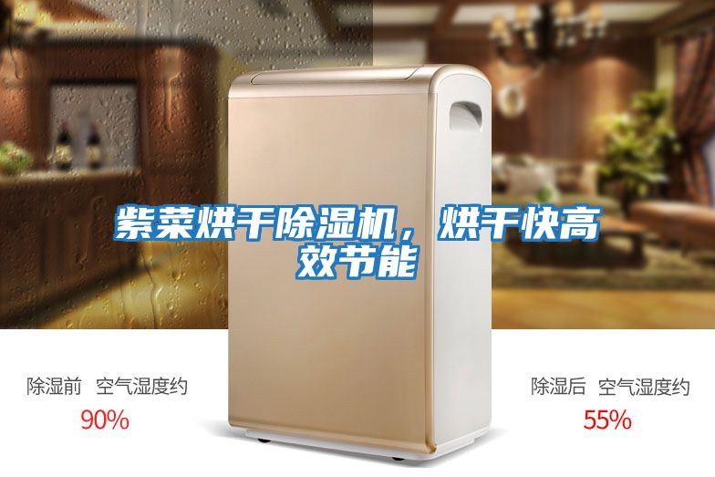 紫菜烘干除濕機，烘干快高效節能