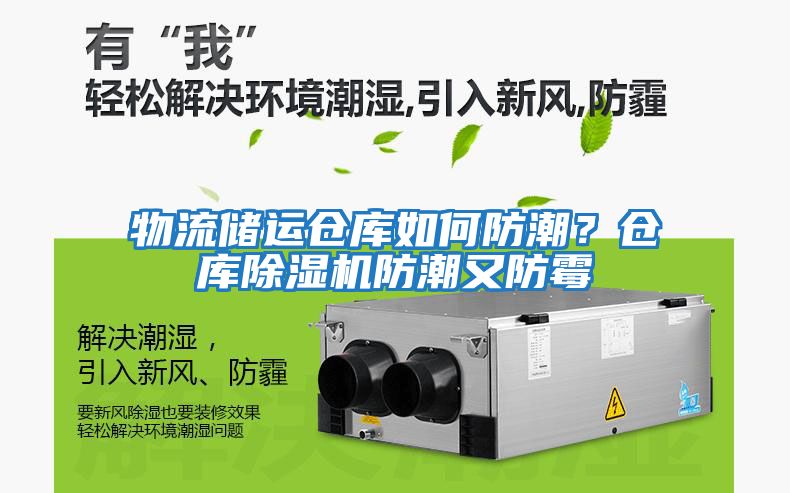 物流儲運(yùn)倉庫如何防潮？倉庫除濕機(jī)防潮又防霉
