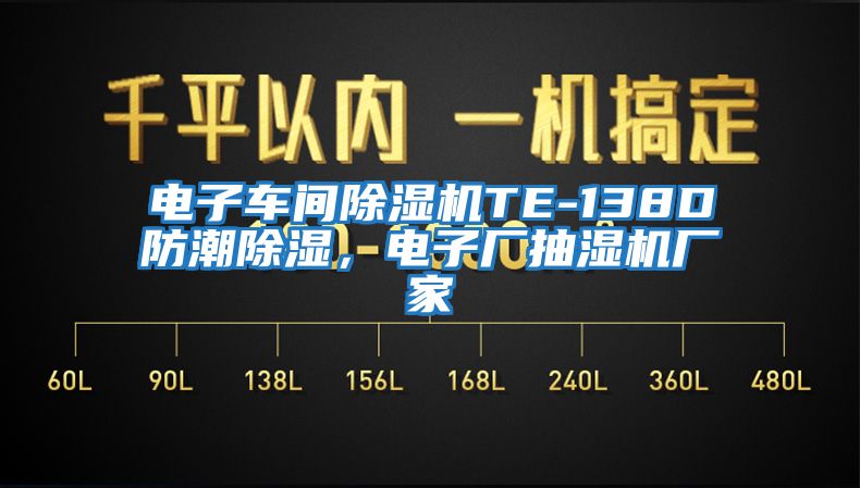 電子車間除濕機TE-138D防潮除濕，電子廠抽濕機廠家