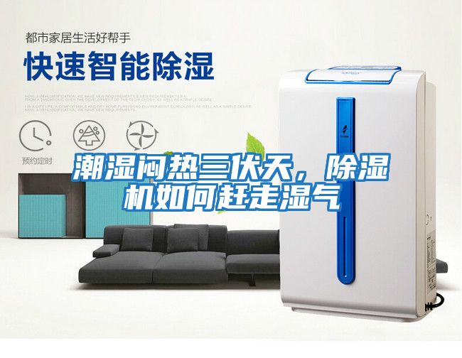 潮濕悶熱三伏天，除濕機如何趕走濕氣
