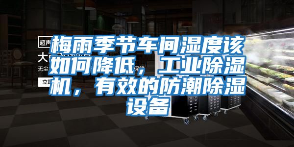 梅雨季節(jié)車間濕度該如何降低，工業(yè)除濕機，有效的防潮除濕設備