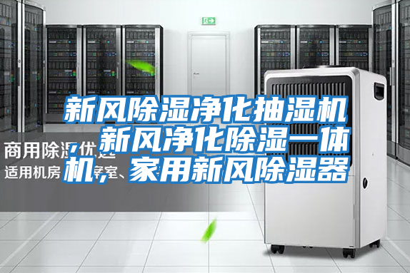 新風除濕凈化抽濕機，新風凈化除濕一體機，家用新風除濕器