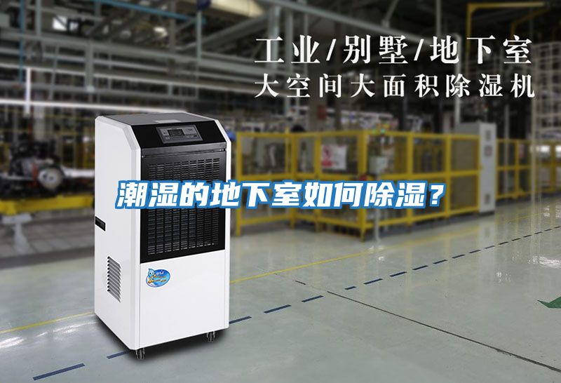潮濕的地下室如何除濕？