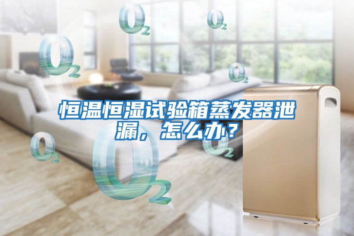 恒溫恒濕試驗箱蒸發器泄漏，怎么辦？