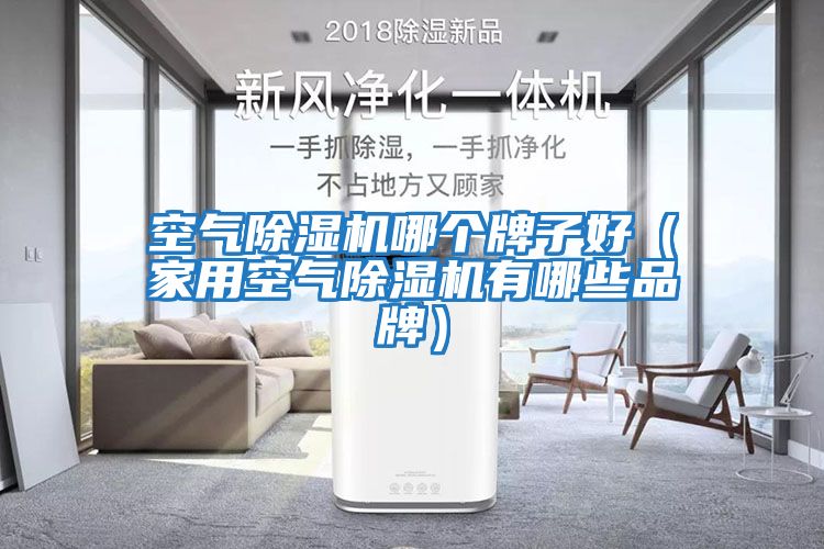 空氣除濕機(jī)哪個牌子好（家用空氣除濕機(jī)有哪些品牌）