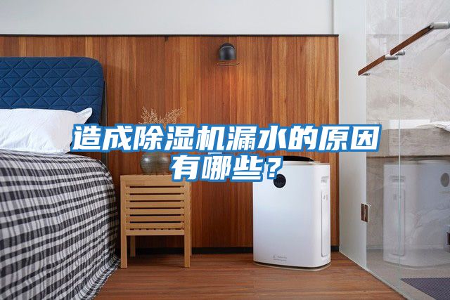 造成除濕機漏水的原因有哪些？