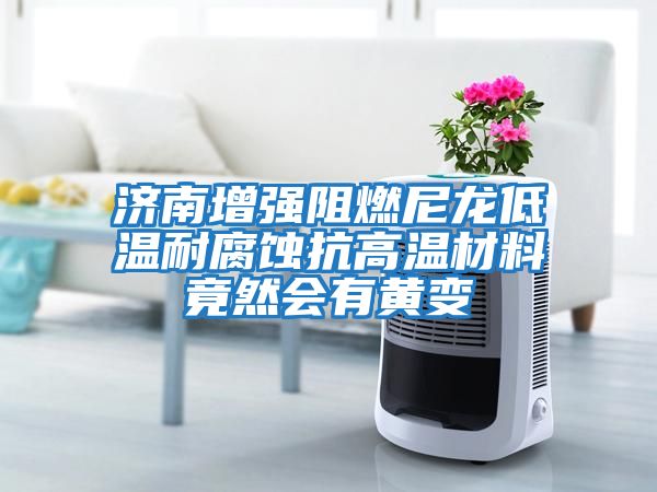 濟(jì)南增強(qiáng)阻燃尼龍低溫耐腐蝕抗高溫材料竟然會(huì)有黃變