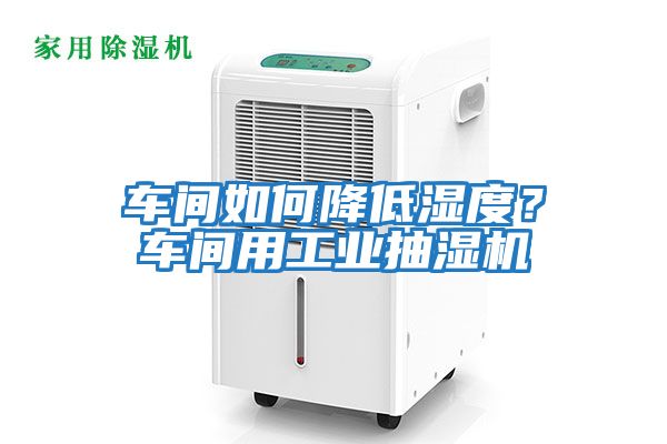 車間如何降低濕度？車間用工業(yè)抽濕機(jī)