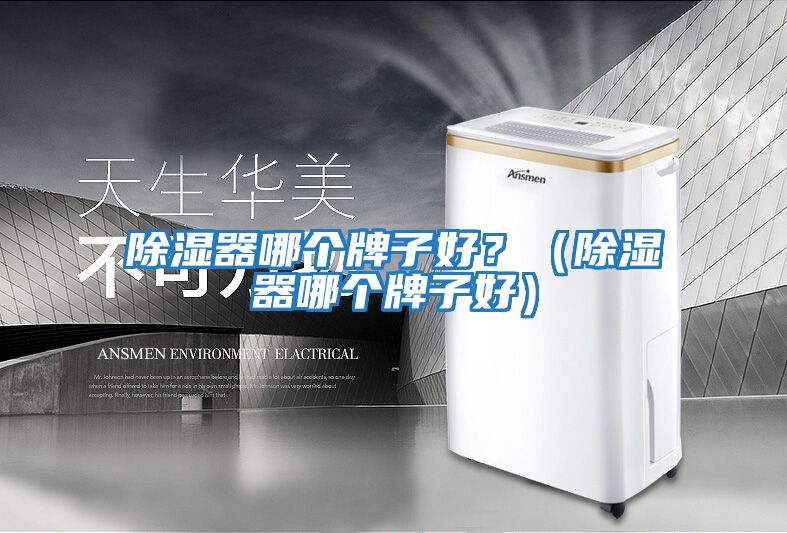 除濕器哪個牌子好？（除濕器哪個牌子好）