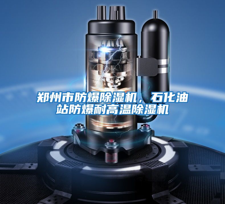 鄭州市防爆除濕機(jī)，石化油站防爆耐高溫除濕機(jī)