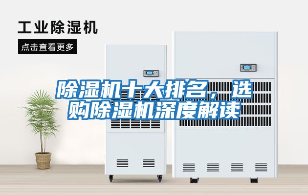 除濕機(jī)十大排名，選購除濕機(jī)深度解讀