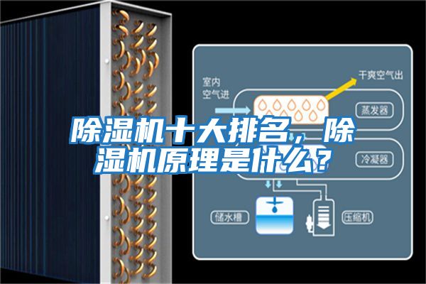 除濕機(jī)十大排名，除濕機(jī)原理是什么？