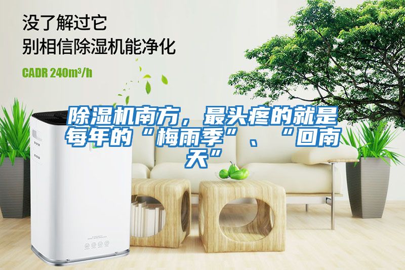 除濕機南方，最頭疼的就是每年的“梅雨季”、“回南天”