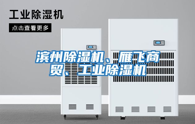 濱州除濕機、雁飛商貿(mào)、工業(yè)除濕機