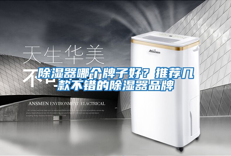 除濕器哪個牌子好？推薦幾款不錯的除濕器品牌