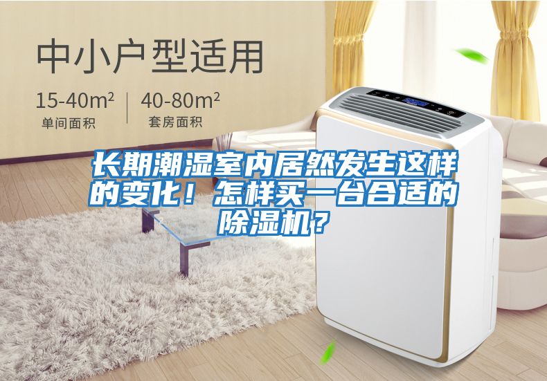 長期潮濕室內居然發生這樣的變化！怎樣買一臺合適的除濕機？